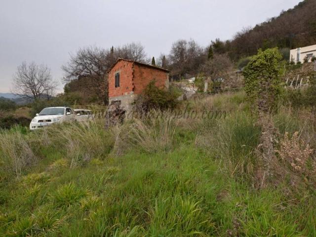 Rustico / Casale in vendita a Vallebona IM
