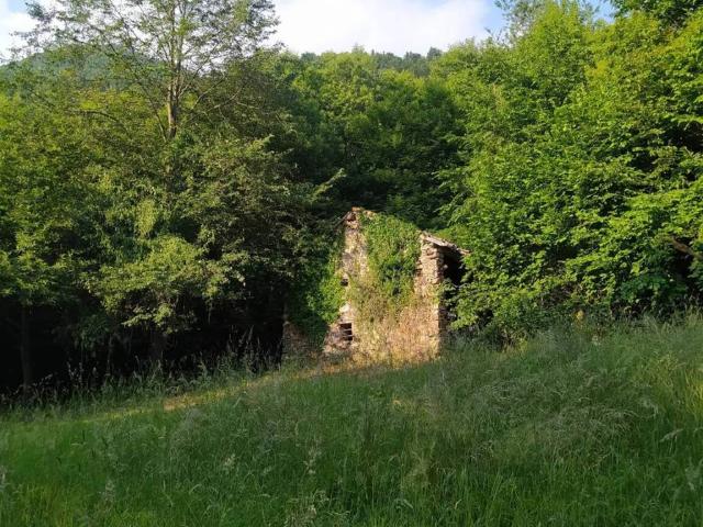Rustico / Casale in vendita a Valli del Pasubio VI