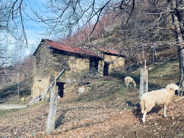 Rustico / Casale in vendita a Valvarrone LC