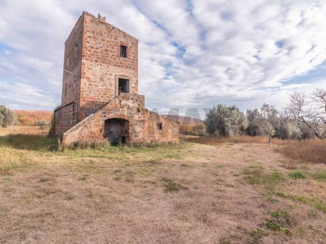 Rustico / Casale in vendita a Vetralla VT