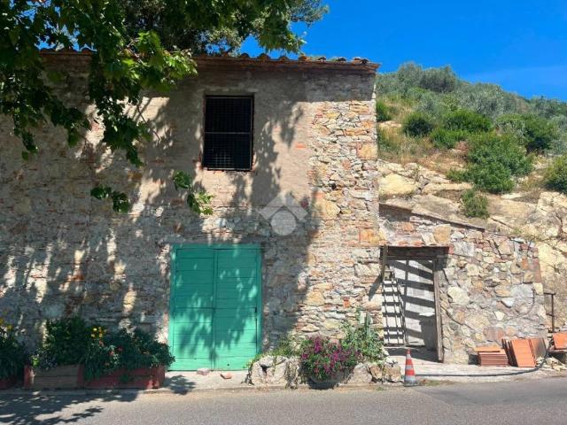 Rustico / Casale in vendita a Vecchiano PI