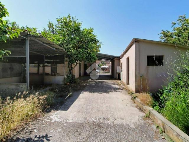 Rustico / Casale in vendita a Vecchiano PI