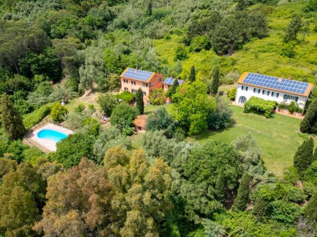 Rustico / Casale in vendita a Vecchiano PI