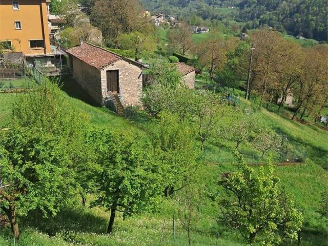 Rustico / Casale in vendita a Vedeseta BG