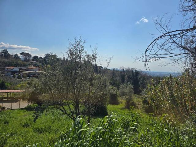 Rustico / Casale in vendita a Velletri RM