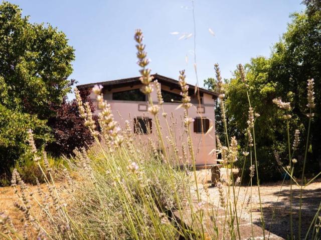 Rustico / Casale in vendita a Viterbo VT