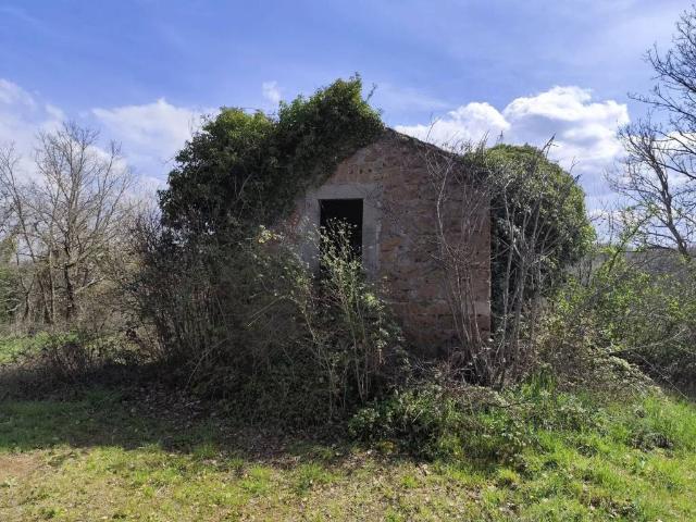 Rustico / Casale in vendita a Vitorchiano VT