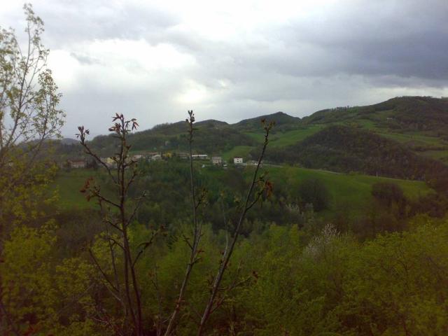 Rustico / Casale in vendita a Viano RE