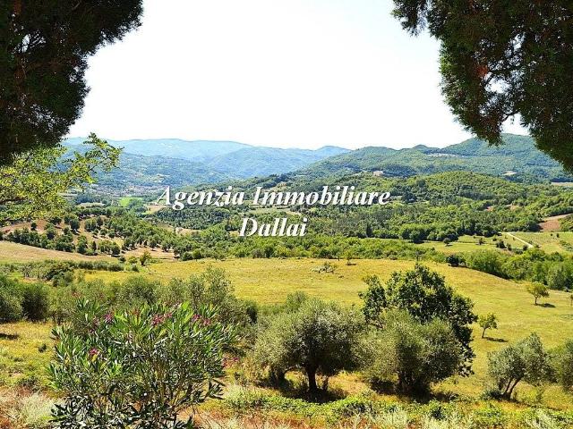 Rustico / Casale in vendita a Vicchio FI