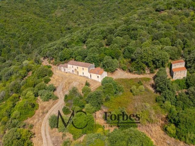 Rustico / Casale in vendita a Viddalba SS