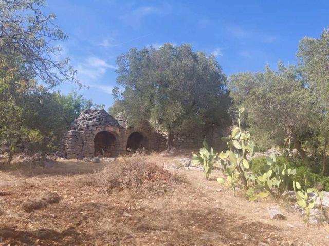Rustico / Casale in vendita a Villa Castelli BR
