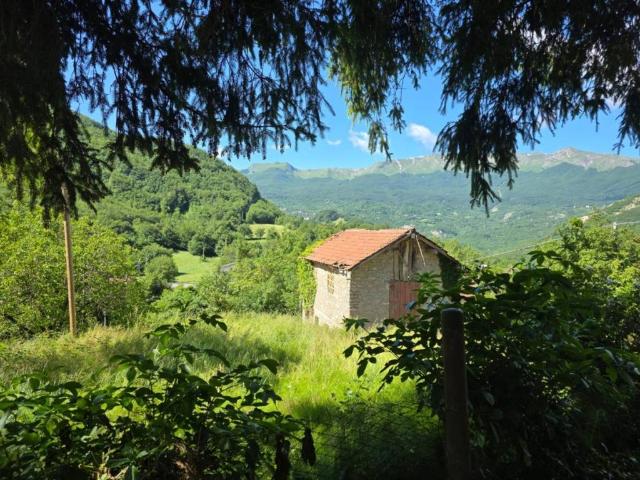 Rustico / Casale in vendita a Villa Minozzo RE