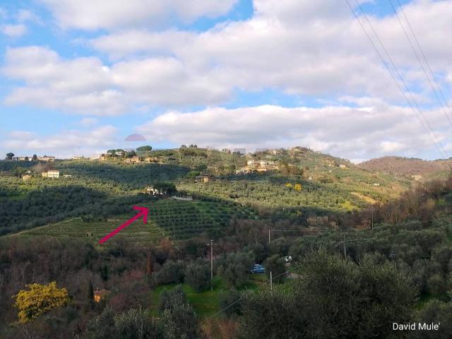 Rustico / Casale in vendita a Vinci FI