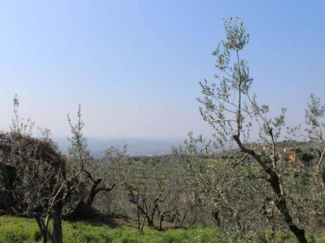 Rustico / Casale in vendita a Vinci FI