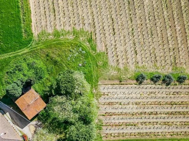 Rustico / Casale in vendita a Vinci FI