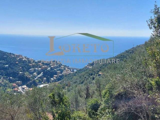 Rustico / Casale in vendita a Zoagli GE
