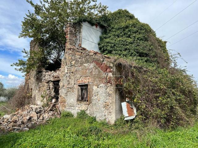 Rustico / Casale in vendita a Zagarolo RM