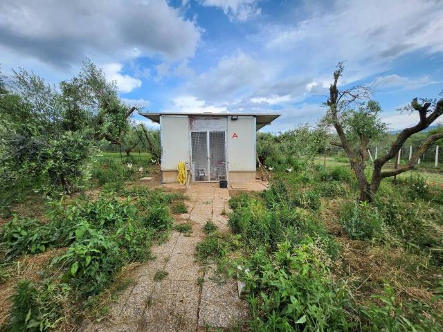 Rustico / Casale in vendita a Zagarolo RM