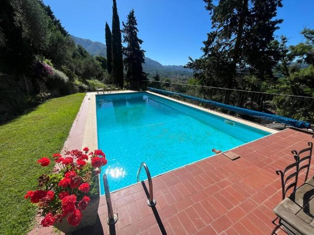 Rustico / Casale in affitto a Camaiore LU