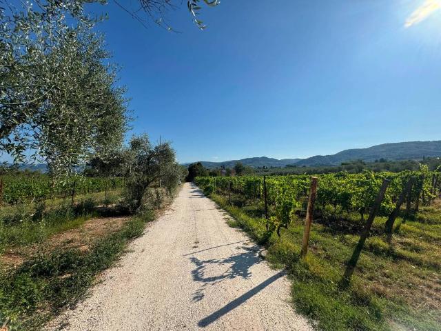 Rustico / Casale in affitto a Bagno a Ripoli FI