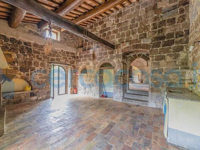 Rustico casale in affitto a Bagnoregio