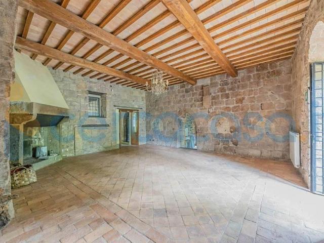 Rustico casale in affitto a Bagnoregio