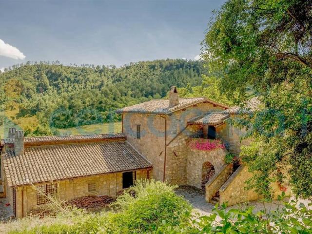Rustico casale in affitto a Bagnoregio