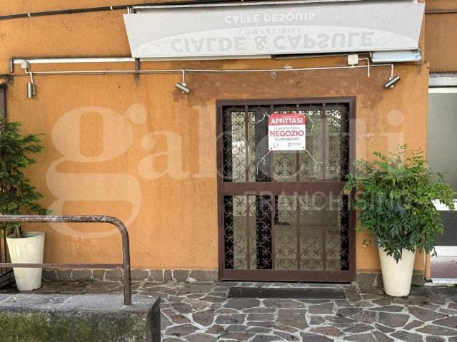 Rustico / Casale in affitto a Monza MB