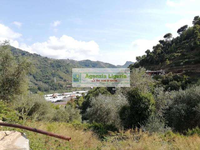 Rustico con Terreno in vendita a Camporosso