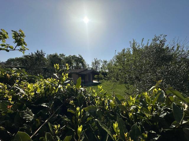 Rustico con giardino a Sorano