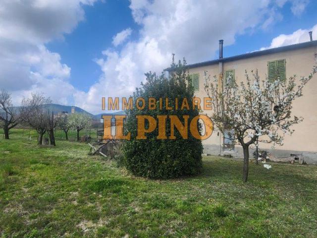Rustico con giardino a Vicopisano