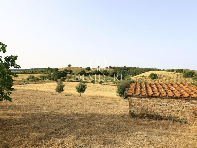 Rustico con giardino in strada delle campore, Grosseto