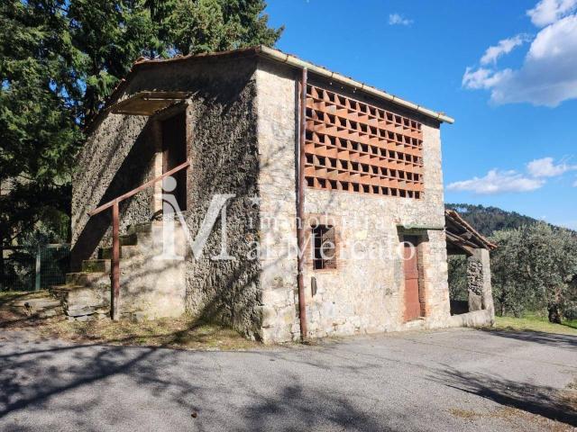 Rustico con giardino, Pescaglia loppeglia
