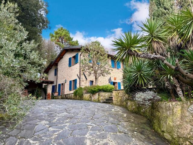 Rustico con giardino, Pietrasanta capezzano