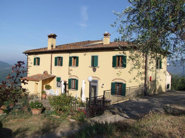 Rustico con giardino, Rufina falgano