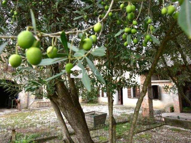 RUSTICO di 10 vani e di 750 mq SANTA LUCIA DI PIAVE rif. DT03