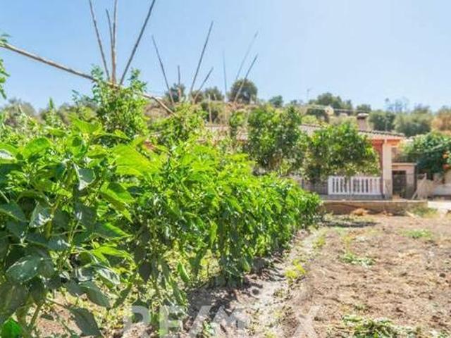 Rústico en venta Granadillas Rincón de la Victoria