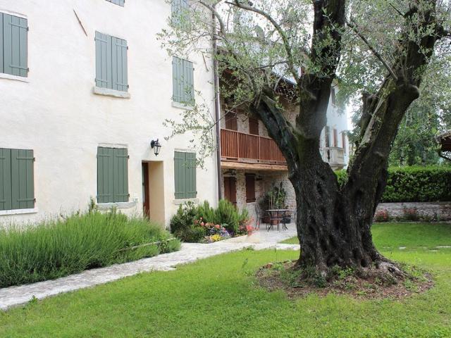 Rustico in affitto a Castelcucco