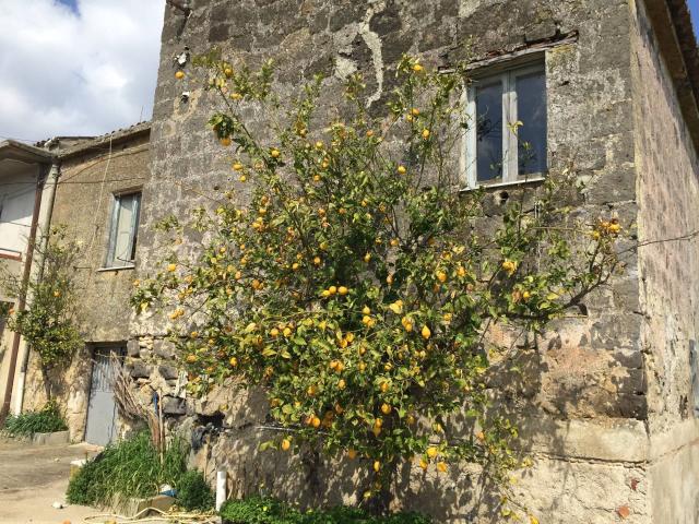 Rustico in vendita a Telese Terme