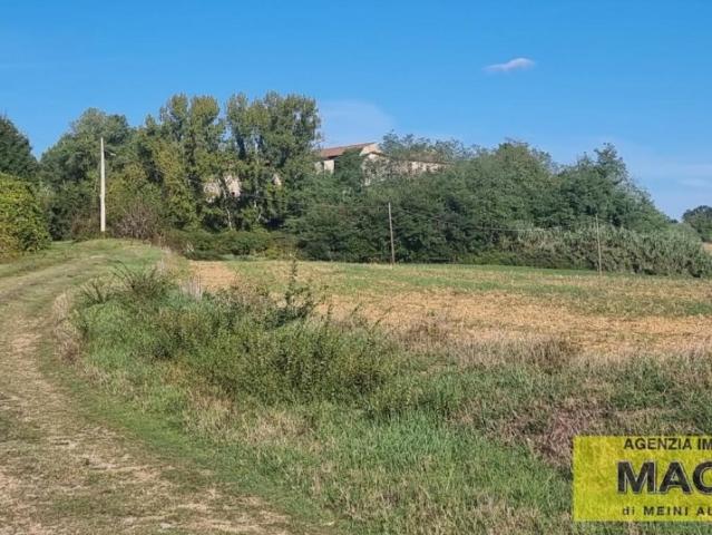 Rustico in vendita a Terricciola