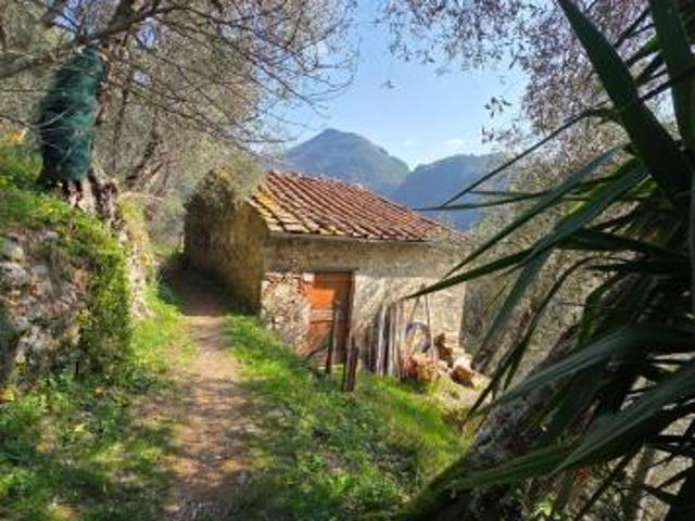 Rustico in vendita a Torcigliano Camaiore 31 mq Rif: 1409772