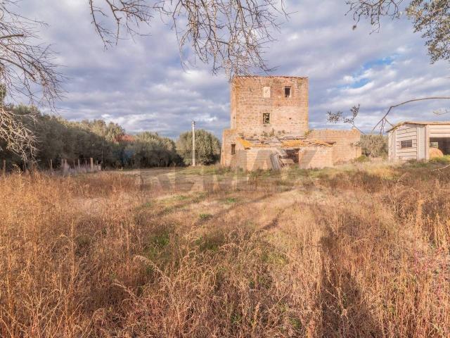 Rustico in vendita a Vetralla