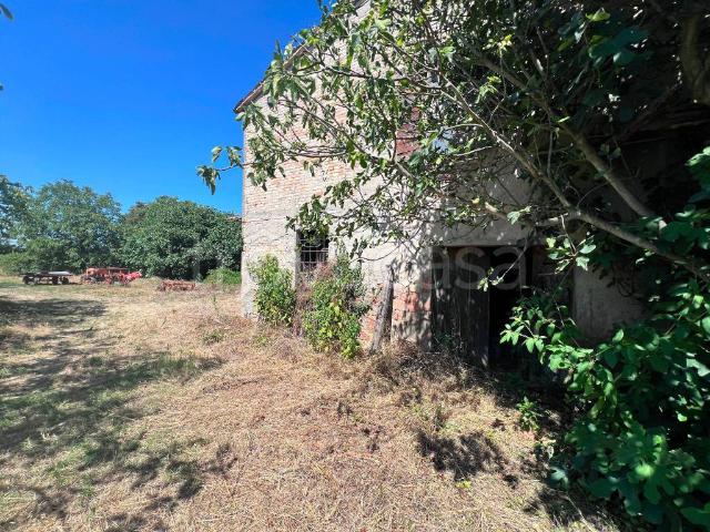 Rustico in vendita a Bertinoro via Zacchi, 399