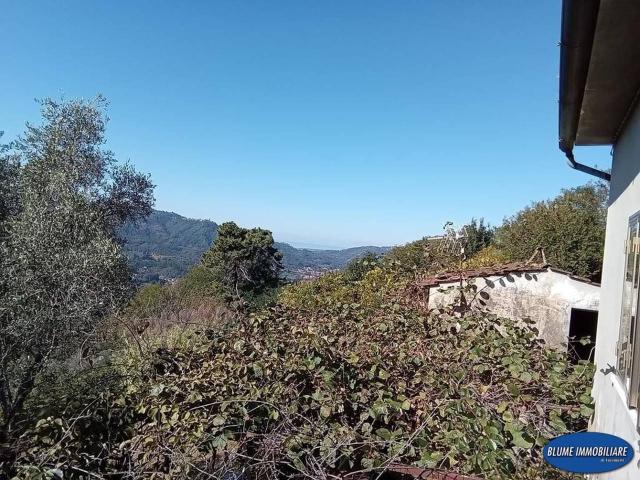 Rustico in vendita a Camaiore