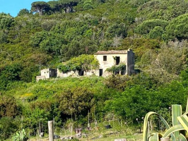 Rustico in vendita a Campo nell'Elba via dei forcioni