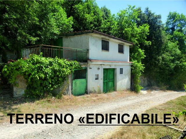 RUSTICO in VENDITA a CAPOLONA