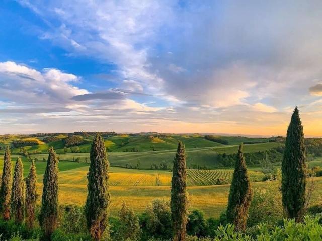 Rustico in vendita a Castelnuovo Berardenga