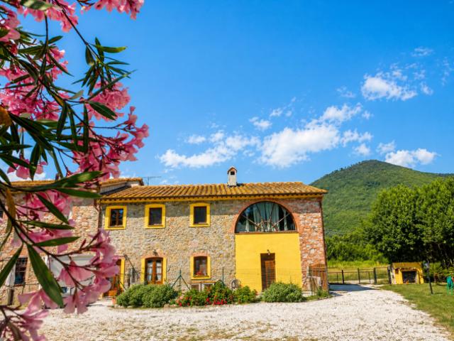 Rustico in vendita a Colognole San Giuliano Terme 350 mq Rif: 1409950