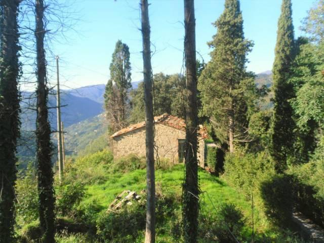 Rustico in vendita a Deccio di Brancoli Lucca in Da ristrutturare composto da 20vani