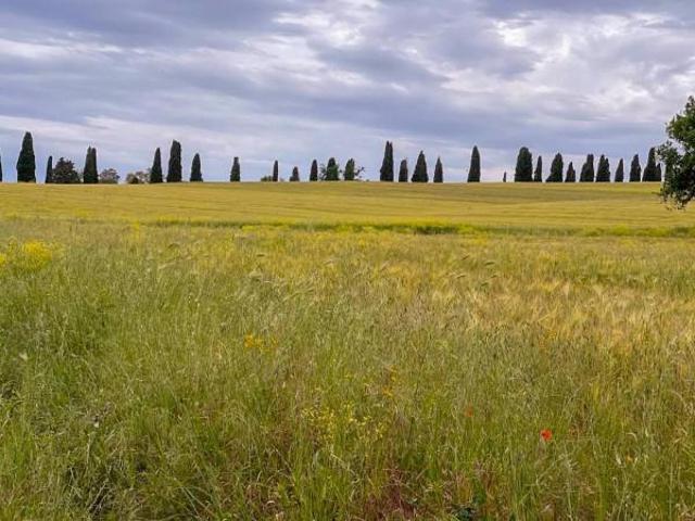 Rustico in vendita a Follonica